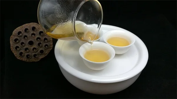 日本バナナの育て方【実体験】耐寒性バナナのコツと越冬方法