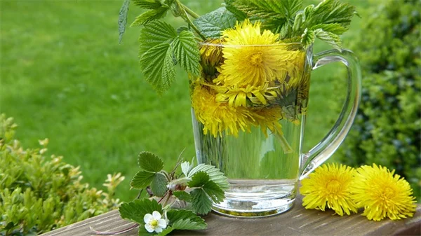 劳动节花艺の簡単DIY！初心者でもできる花材選びと長持ちさせるコツ